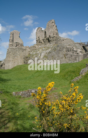 Die Ruinen des 13. Jahrhunderts Montgomery Wasserburg für Henry 3.;  ein CADW verwaltet walisische Weltkulturerbe Powys Wales UK Stockfoto