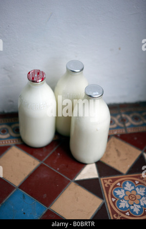 Flaschen Milch vor einer Tür. Stockfoto