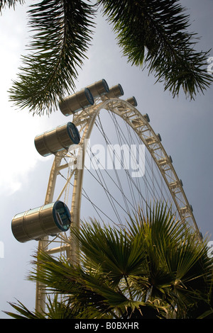 Singapore Flyer das größte Riesenrad Welten genommen durch Palmwedel im Vordergrund Stockfoto