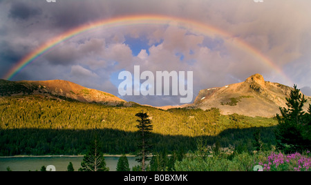 Regenbogen über Mt Dana im Yosemite-Nationalpark, Kalifornien Stockfoto