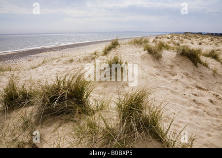 Der Strand und Dünen, Walberswick, Suffolk, England Stockfoto