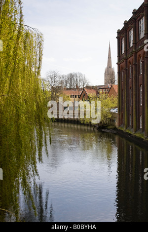Fluss Wensum Blick auf die Kathedrale - Norwich, Norfolk Stockfoto