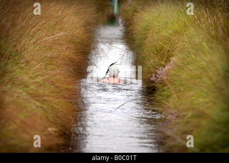 EIN WETTBEWERBER BEI DEN INTERNATIONALEN MOOR-SCHNORCHELN-CHAMPIONSHIPS AUF LLANWRTYD WELLS POWYS WALES UK Stockfoto