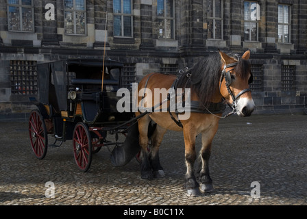 Pferd Kutsche Damplatz Amsterdam Holland Stockfoto