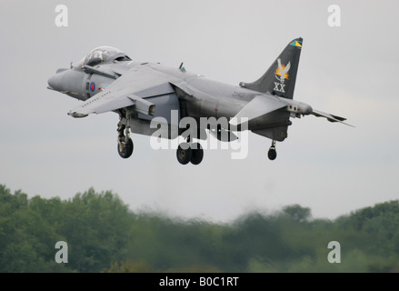 RAF HARRIER GR7 RAF WITTERING 20 GESCHWADER Moto Facta non Verba Taten statt Worte Stockfoto