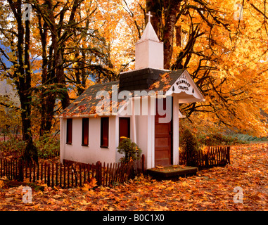 Skagit County WA Wildwood Kapelle unter unten Ahornbäume im Herbst Farbe Skagit River Valley Stockfoto