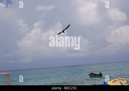 Vögel fliegen über Pajee Beach, Port Maria, St. Mary, Jamaika Stockfoto