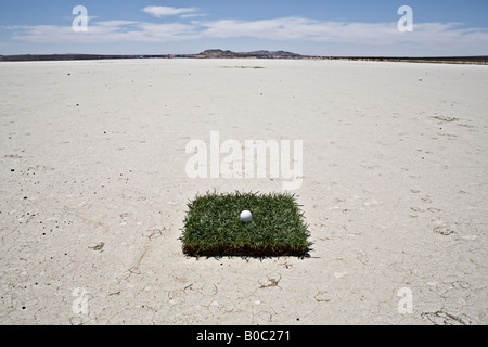 Golfball auf einem Stück Rasen in der Wüste Stockfoto