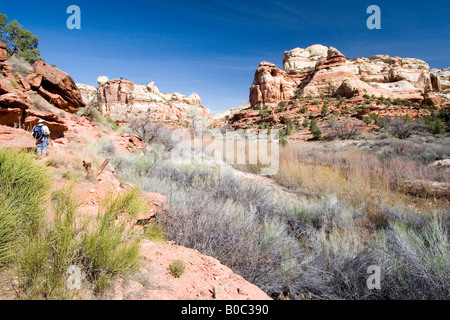 USA - Utah. Wanderer auf Trail in Calf Creek Recreation Area im Grand Staircase - Escalante National Monument. Stockfoto