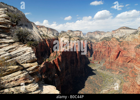 Ansicht des Zion Canyon von der Spitze der Angel es Landing im Zion Nationalpark Stockfoto