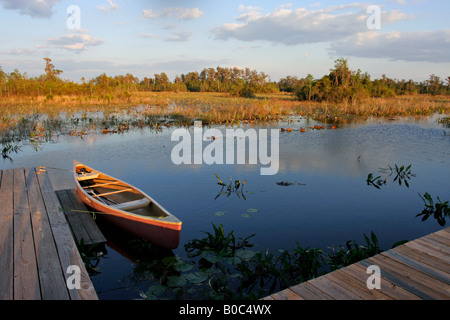 Kanu am camping Dock in National Wildlife Refuge Okefenokee Sumpf Stockfoto