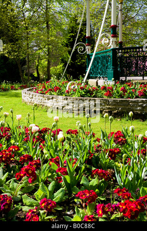 Frühling blühenden Beeten Tulpen und rote Primeln vor der viktorianischen Musikpavillon an der städtischen Gärten, Swindon, Wiltshire, UK Stockfoto