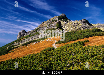 Polnischen Tatra Gebirge im Herbst Stockfoto