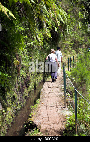 Gruppe der Wanderer nach der Fahrrinnen, bekannt als Levadas auf der Insel Madeira. Stockfoto