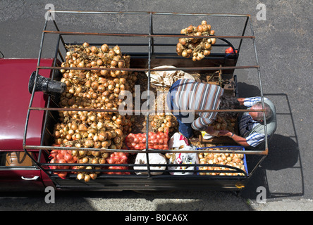 Zwiebel-Verkäufer in das Dorf Curral Das Freiras auf Madeira. Stockfoto