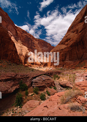 Canyon, die Rainbow Bridge Arch in Utah öffnet Stockfoto