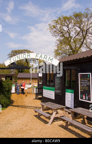 Der Junior-Farm in Wroxham Scheunen In Norfolk, Großbritannien Stockfoto