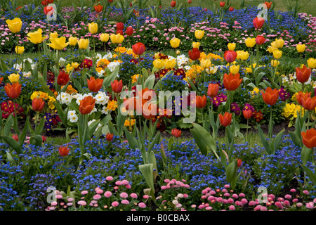 Blütenpracht im Botanischen Garten Southport, Merseyside, England im Frühjahr 2008 übernommen. Stockfoto