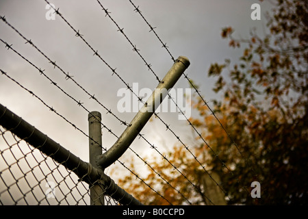 Stacheldraht auf Maschendrahtzaun Stockfoto