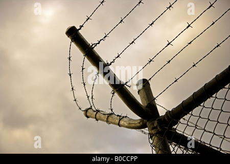 Stacheldraht auf Maschendrahtzaun Stockfoto