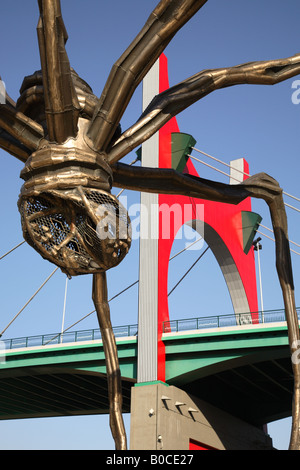 Brücke Puente De La Salve von Daniel Buren und Spinne Skulptur von Elizabeth Bourgeois, Bilbao, Baskenland, Baskisches Land, Spanien Stockfoto