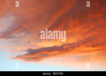 Orange und rote Wolken bei Sonnenuntergang, Surrey, England, Vereinigtes Königreich Stockfoto