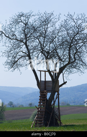 HUNT ANSITZ GEGEN EINEN BLATTLOSEN BAUM-ELSAß-FRANKREICH Stockfoto