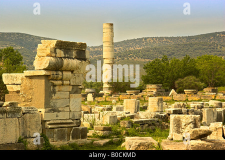 Überreste der Tempel der Hera Samos Stockfoto