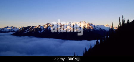 Sonnenaufgang über den Olymp und Hoh River Valley, Olympic Nationalpark, Washington State Stockfoto