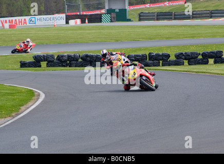 Martin Jessop auf einem Motorrad Honda 1000 in der britischen Superbike Meisterschaft am Oulton Park Cheshire England UK Stockfoto