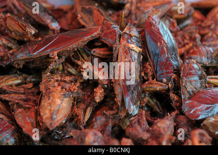 Insekten als Nahrung, jj Markt (Chatachuk) Bangkok thailand Stockfoto