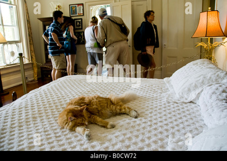 Katze schläft auf einem Bett im Schlafzimmer in der Ernest Hemingway Haus in Key West nicht die Sorge um Touristen zu Fuß durch Stockfoto