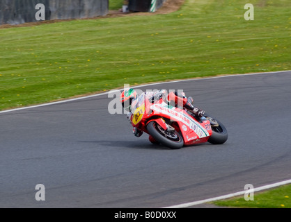 John Laverty auf einer Ducati-Motorrad in der britischen Superbike Meisterschaft am Oulton Park Cheshire England Großbritannien Stockfoto