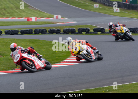 Guy Martin auf einem Motorrad Honda 1000 in der britischen Superbike Meisterschaft am Oulton Park Cheshire England UK Stockfoto