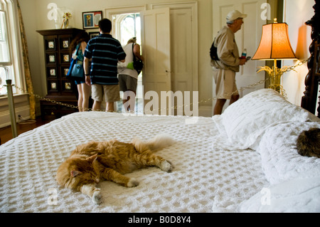 Katze schläft auf einem Bett im Schlafzimmer in der Ernest Hemingway Haus in Key West nicht die Sorge um Touristen zu Fuß durch Stockfoto