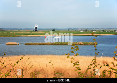 Ein Blick auf die Norfolk Broads in Richtung Berney Arms Entwässerung Mühle, in der Nähe von Breydon Wasser, Norfolk, England, Vereinigtes Königreich, Europa. Stockfoto