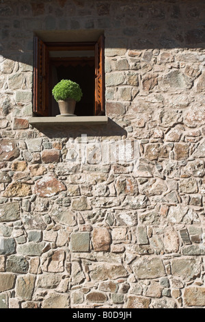 Ein offenes Fenster mit einer Anlage auf der Fensterbank im Heiligen Kloster der Jungfrau von Kykkos, Kloster Kykkos, Troodos, Zypern Stockfoto