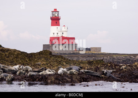 Longstone Leuchtturm auf äußeren Farne, Farne Islands, Northumberland, England, UK Stockfoto