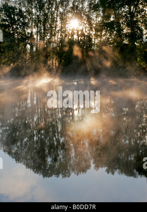 Morgenlicht durch Bäume an einem nebligen Fluss Stockfoto