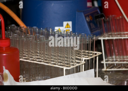 Reagenzgläser in einem chemisty Labor Stockfoto