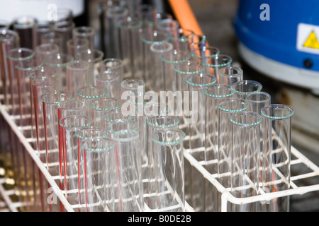 Reagenzgläser in einem Chemielabor Stockfoto