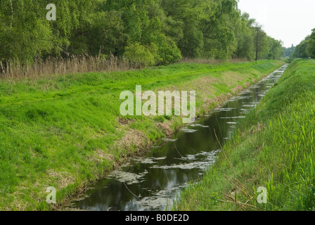 Holme Fen Deich Entwässerungsgraben Cambridgeshire kleinsten Punkt in Großbritannien Naturschutzgebiet, links und rechts der Deich HOMER SYKES Stockfoto