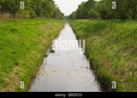 Holme Fen Deich Entwässerungsgraben Cambridgeshire UK niedrigster Punkt im Britain Nature Reserve links und rechts vom Deich 2008 2000s UK HOMER SYKES Stockfoto