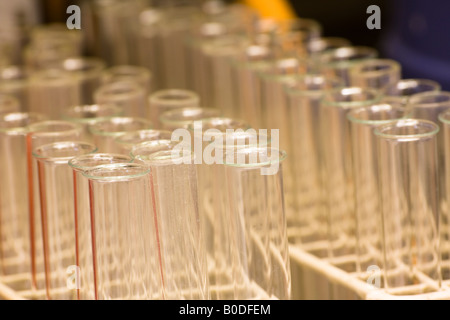 Reagenzglas - Gestell Glasfläschchen Stockfoto