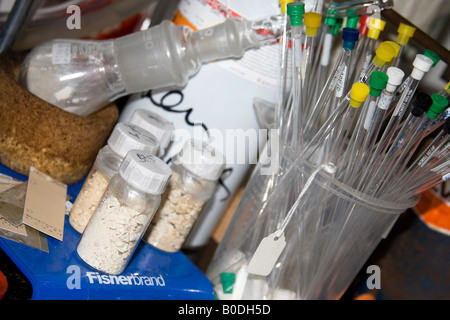 Reagenzgläser in einem Chemielabor Stockfoto