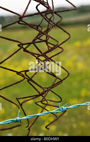 Stacheldraht auf dem Lande Stockfoto