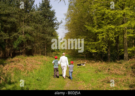 Familie gehen für einen Spaziergang an der Dunwich Forest, Suffolk, Uk Stockfoto