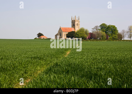 Weg durch die Felder zur St. Andrews Kirche, Sempringham, Lincolnshire, England Stockfoto