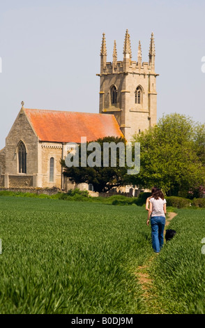 Spaziergang durch Feldfrüchte zur St. Andrews Kirche, Sempringham, Lincolnshire, England. Stockfoto