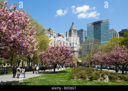 Spring Blossom in Battery Park, Financial District, Lower Manhattan, New York City Stockfoto